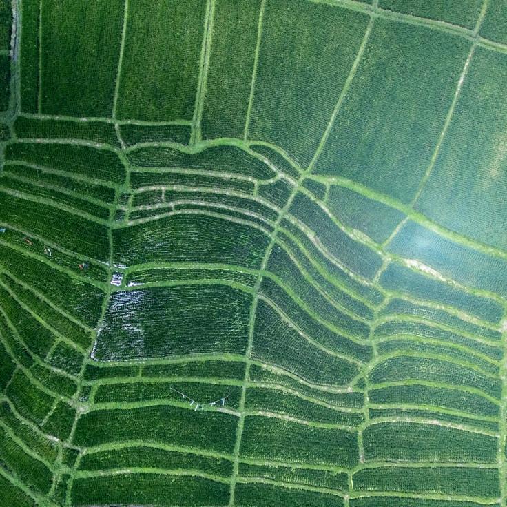 Family terraces and cafés for calm evenings in Lisbon
